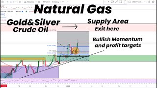 Natural Gas Bullish Momentum Profit Targetsampheading to Supply area GoldSilverCrude oil FORECAST [upl. by Akemahs]