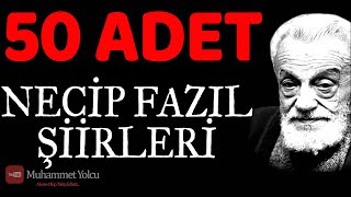 NECİP FAZIL KISAKÜREK ŞİİRLERİ 1  50 ADET BEYİT [upl. by Ailemak]