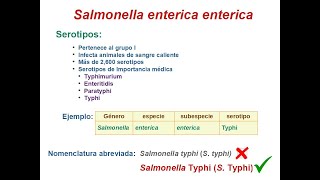 Salmonella [upl. by Dustan154]