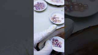 “How Are Natural Freshwater Akoya Pearls Made Discover the Beauty of 100 Authentic Pearls” [upl. by Akienom]