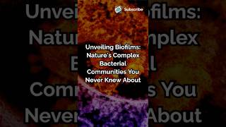 Unveiling Biofilms Natures Complex Bacterial Communities You Never Knew About biologymicrobes [upl. by Eirellav]