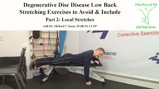 Degenerative Disc Disease Exercises to Avoid and Include Stretches Part 2 [upl. by Elacim]