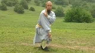 Shaolin Kung Fu Combat Styles 5 7star form 七星拳 qixing quan [upl. by Eitsirhc]