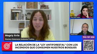 ¿Cuál es la relación de la LeyAntiforestal con los incendiosforestales [upl. by Frechette]