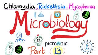 Microbiology  Picmonic  Chlamydia Rickettsia and Mycoplasma Atypical bacteria  Part 13 [upl. by Neelra202]