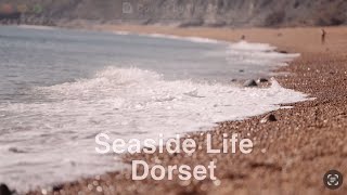 Seaside Life in Dorset [upl. by Meikah355]