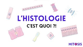 Lhistologie cest quoi [upl. by Boylan]