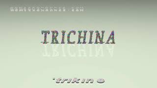 trichina  pronunciation [upl. by Schoenberg602]