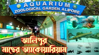 Alipore Zoo Aquarium  কলকাতা একুয়ারিয়াম  Alipur Zoo Fish Aquarium House Kolkata aquarium [upl. by Bradway]