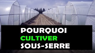 5 Bonnes raisons pour lesquelles il faut cultiver sous une serre agricole AGRICULTURE [upl. by Valencia]