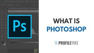 What Is Photoshop Photoshop Vs Lightroom [upl. by Ynos]