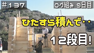 ≪週末DIYから始める移住への道≫ ＃137 助っ人参戦！素人のログハウスセルフビルド‥ひたすら積んで１２段目！ ログ組み作業９日目 ≪アラフィフ開拓≫ [upl. by Edroi]