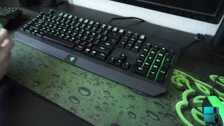 Razer BlackWidow Ultimate Review [upl. by Lachman386]