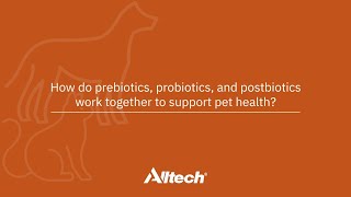 How do prebiotics probiotics and postbiotics work together to support pet health [upl. by Nauqan]