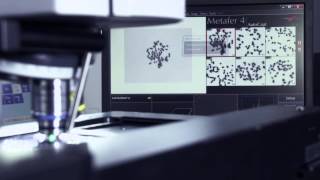 MetaSystems Cytogenetic Imaging Automation [upl. by Rossie]