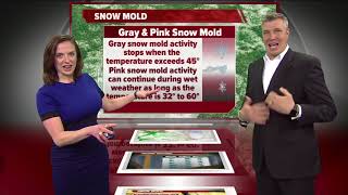 Geeking Out Snow Mold [upl. by Brenna]