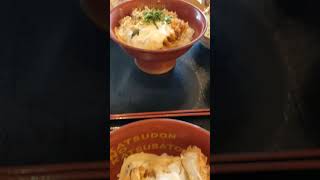 Katsudon as a reward after cleaning the house food japanesefood [upl. by Alyt942]