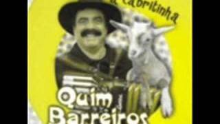 Quim Barreiros  A cabritinha Remix RBoy [upl. by Lizzie875]