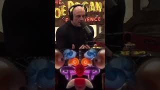 Joe Rogan about the MAJESTY of DMT Psychedelics [upl. by Edmonds]