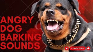 Epic Dog Barking Compilation See How Your Dogs REACTS and Cant Resist [upl. by Hutson162]