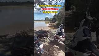 terbarupenampakan buaya besar di sungai kampar [upl. by Ytram484]