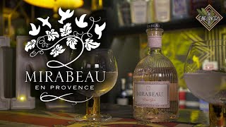 Mirabeau Gin Review 43 ABV The Ginfluencers UK [upl. by Yssim529]