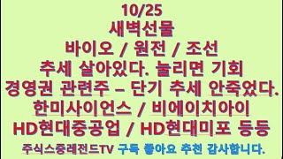 241025 새벽선물 관심주 고려아연 한미사이언스 티웨이항공 리가켐바이오 바이넥스 비에이치아이 두산에너빌리티 HD현대중공업 HD현대미포 파두 이수페타시스 [upl. by Island]