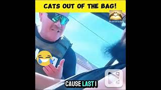 He identifies as a CAT 🐈 how do you think think the police officer handled the situation 😂 cat [upl. by Oileve81]