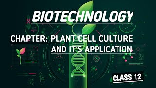 plant regeneration pathway class 12th biotechnology [upl. by Annaiuq]