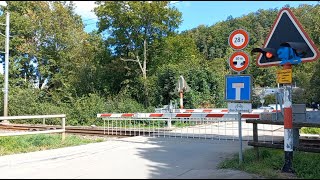 Bahnübergang Adliswil CH  Swiss Railroad Crossing [upl. by Dyoll]