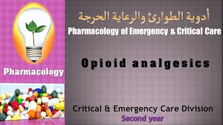 Pharmacology  lecture 12 Opioid analgesics المسكنات الأفيونية [upl. by Ahsiekat]