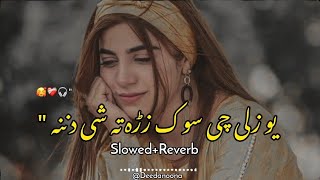 Yaw Zale Che Sok Zrah Ta She Danana 🥰  Slowed And Reverb  Pashto New Song  Deedanoona [upl. by Ladnor]