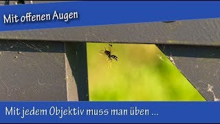 Mit offenen Augen  Mit jedem Objektive muss man üben [upl. by Landahl198]