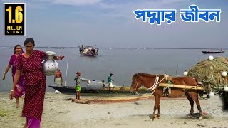 দেশের দীর্ঘতম নদী পদ্মার জীবন  Life of the Longest River Padma [upl. by Ringo3]