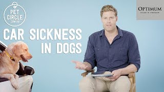 Dr Chris Brown QampA How to Stop Car Sickness in Dogs [upl. by Annahpos844]