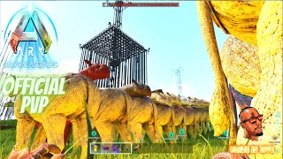 Mega Tribe War Ready  Ark Survival Ascended Official PVP [upl. by Anitserp]