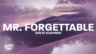 1 Hour Version David Kushner – Mr Forgettable Lyrics  Music Lyrics [upl. by Eelymmij]