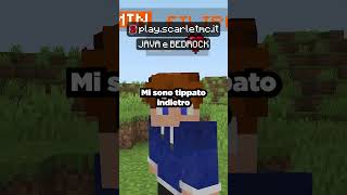 Sono stato Trollato sul mio Server Minecraft 😡 [upl. by Brodench636]