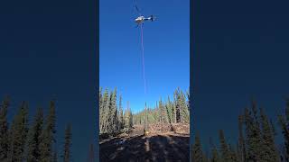 Heavy Lift for Helicopter Great pilot forestry alberta forestfire naturaldisaster wildfire [upl. by Ahsenac]