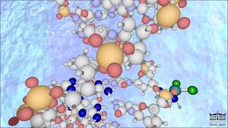 The Mechanism of Cisplatin New HD [upl. by Winnick724]