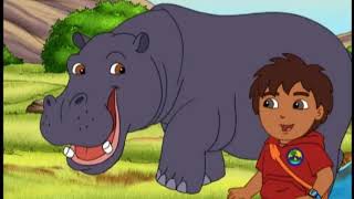 Go Diego Go  4x01  Diego Reunites Hippo and Oxpecker Best Moment Plus [upl. by Alleunamme]