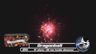 Dragonball Svea Fireworks [upl. by Jamill]