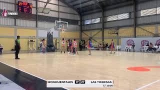 EN VIVO  LNDF  las tigresas vs las monumentales [upl. by Arielle84]