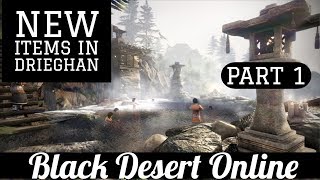 Black Desert Online BDO Drieghan Coverage New Items Added [upl. by Nerb5]