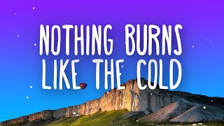 Snoh Aalegra  Nothing Burns Like The Cold Lyrics ft Vince Staples [upl. by Tiloine]