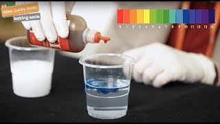 Chemistry Lesson  pH Indicator  Acid amp Base Experiment  Science for Kids [upl. by Pruter]