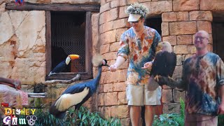 Feathered Friends in Flight  Walt Disney World 2023 [upl. by Abana332]