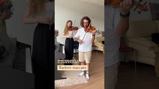 RADOVÉ STACCATO🎻💫 violin violinpracticetip bratislava violinist privatelessons music [upl. by Cynthia146]