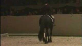 GOFFERT 369 Tribute KFPS Friesian Stallion [upl. by Goldin]