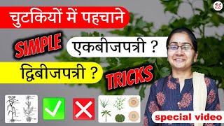 01 Second में याद एकबीजपत्री व द्विबीजपत्री को आसानी से पहचाने  Simple Tricks [upl. by Capp]